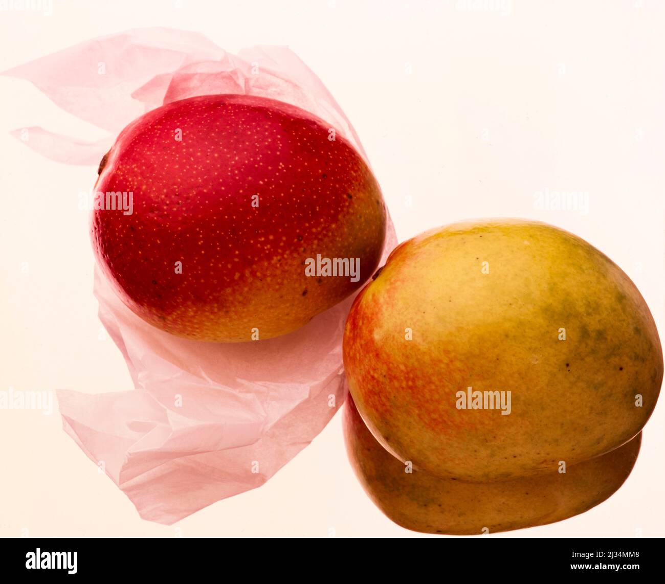 Two mangoes, fruit still life against a plain light background Stock