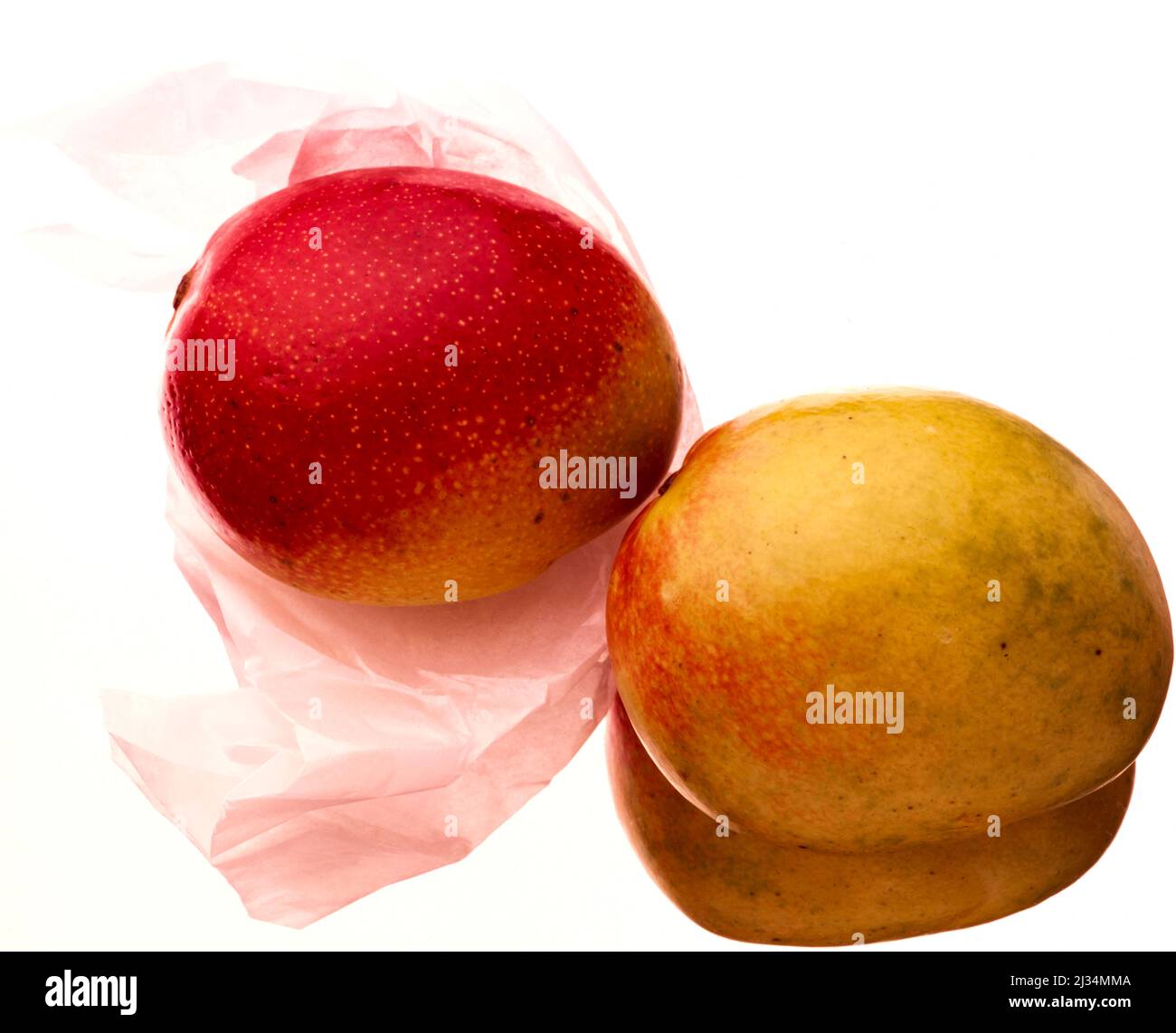 Family compounds Cut Out Stock Images & Pictures Alamy