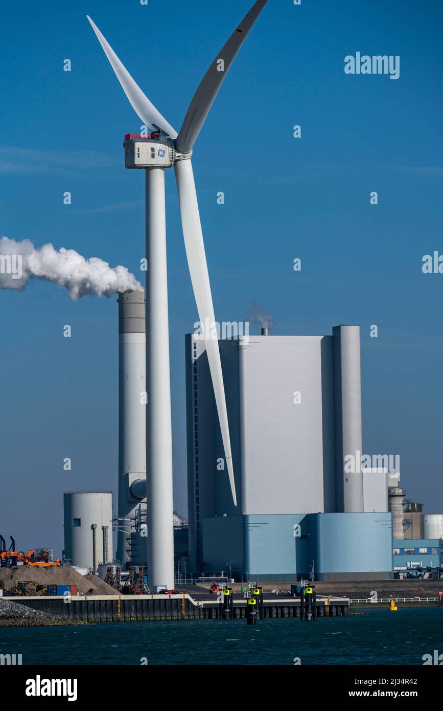 Uniper power plant Maasvlakte , coal-fired power plant, in the seaport of Rotterdam, the Netherlands, deep-water port Maasvlakte 2, on an artificially Stock Photo