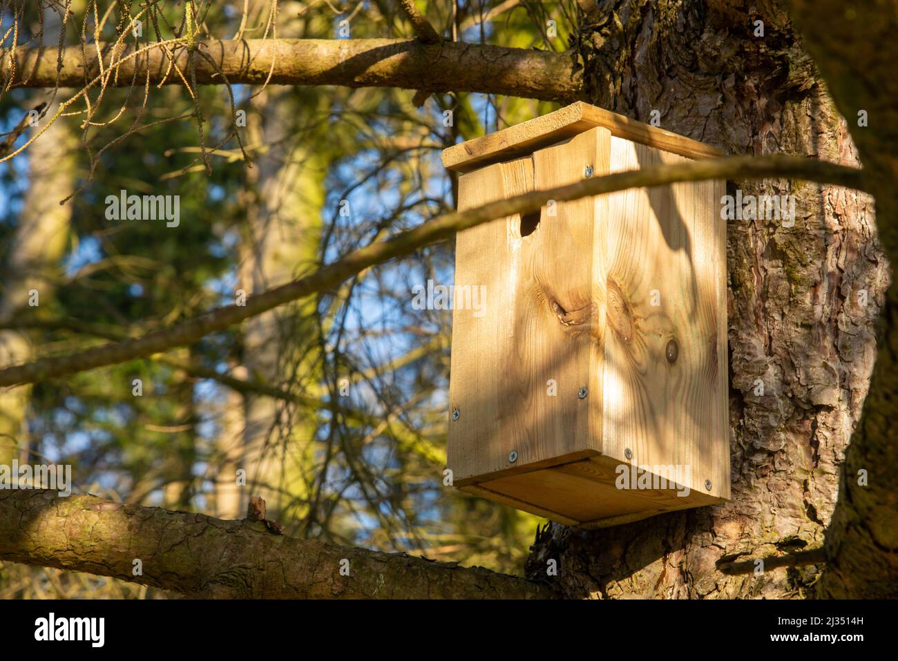wooden bird nest at against tree trunk Stock Photo