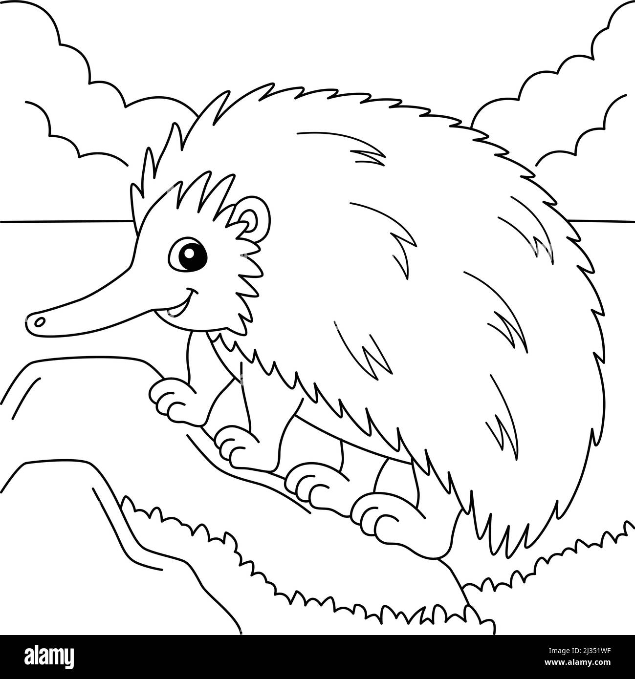 Echidna Animal Coloring Page for Kids Stock Vector