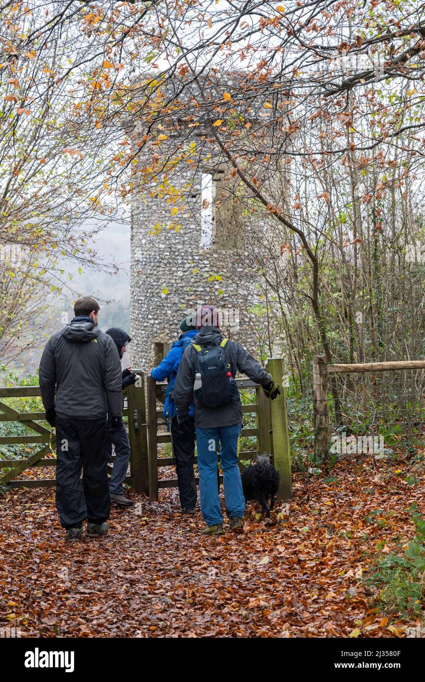 A group of friends hiking on the Happy Valley circular walk approaching the listed Broadwood's Folly (Tower) at Box Hill / Lodge Hill. Surrey, England Stock Photo