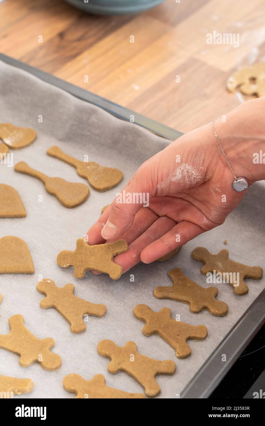 A woman's hand laying out gingerbread me on a baking tray for baking in the oven during Christmas. England. Theme: adult hobbies, home baking Stock Photo