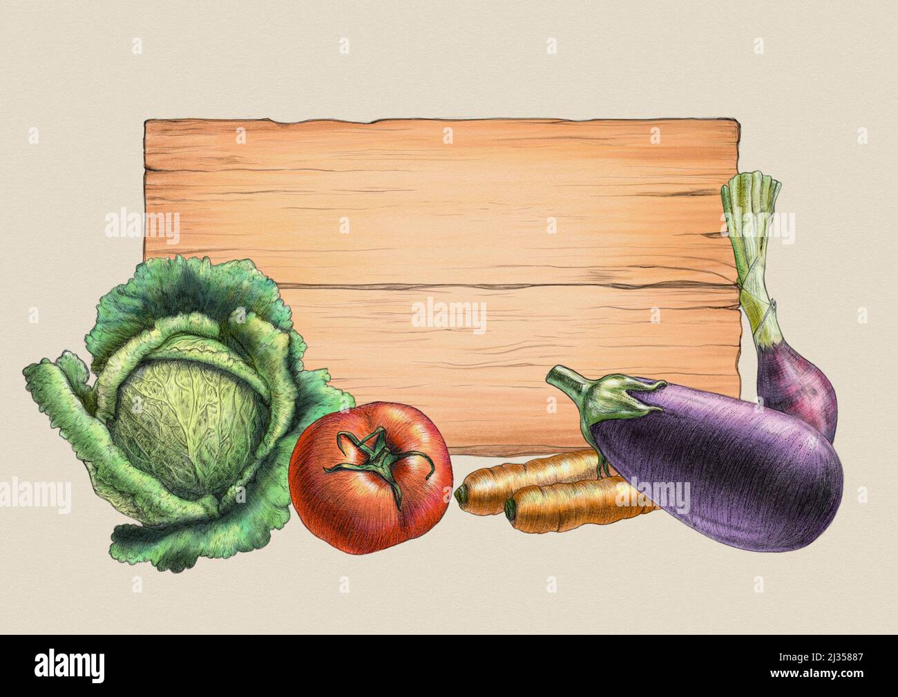 Assorted vegetables with a wood sign. Digital illustration. Stock Photo