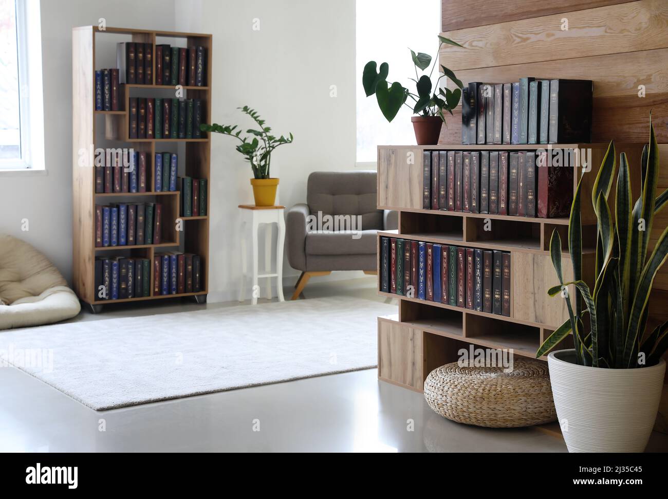 Interior of light living room with wooden bookcases and houseplants ...