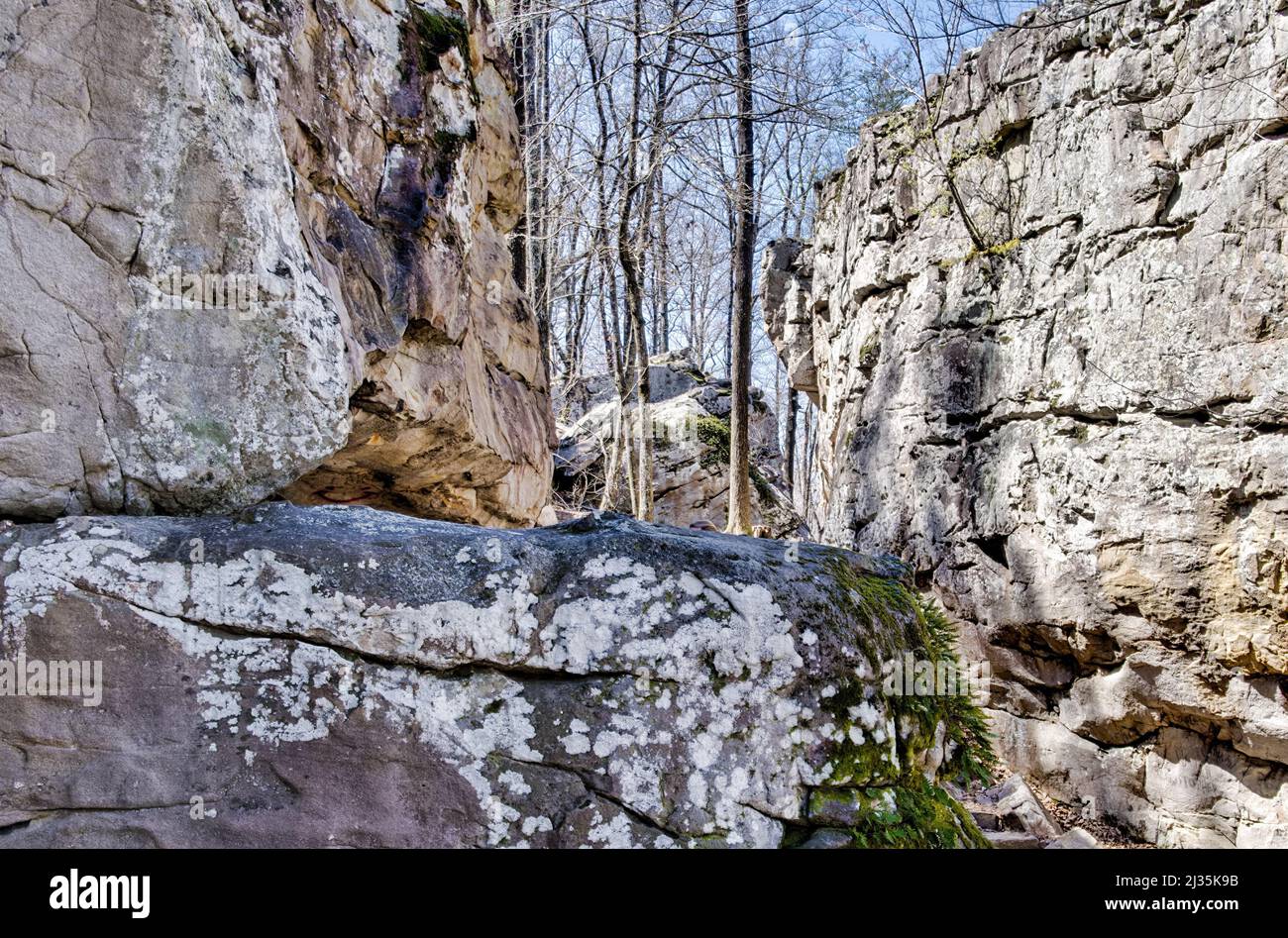 349 acre nature preserve hires stock photography and images Alamy