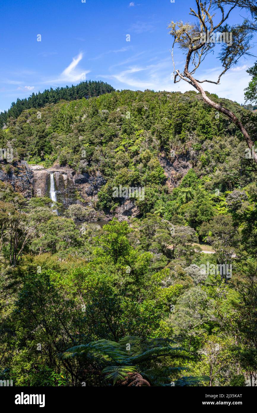 The Hunua Falls are on the Wairoa River in the Auckland Region of New