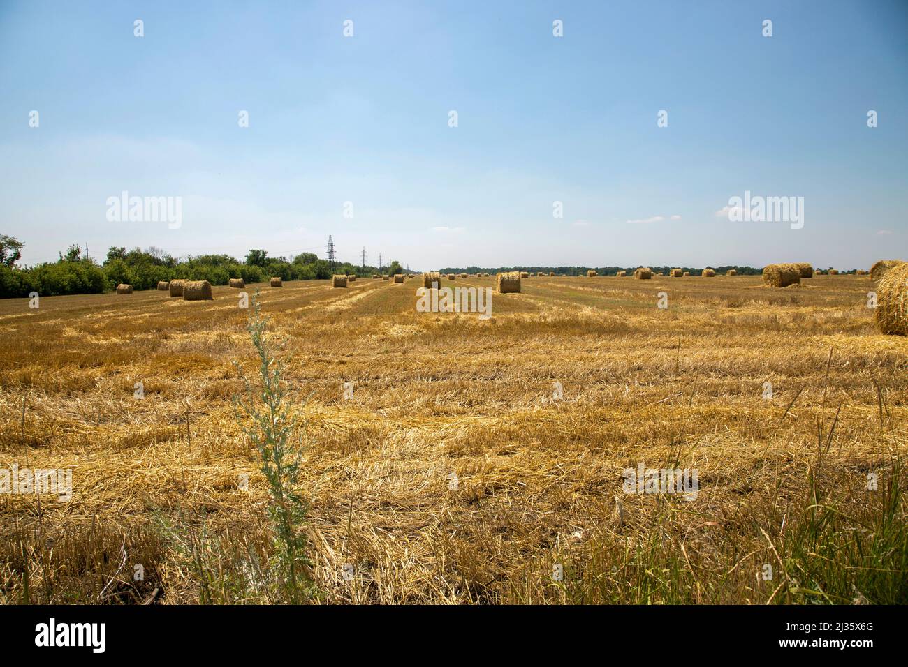 Rural landscape with wheat field after harvesting Stock Photo - Alamy