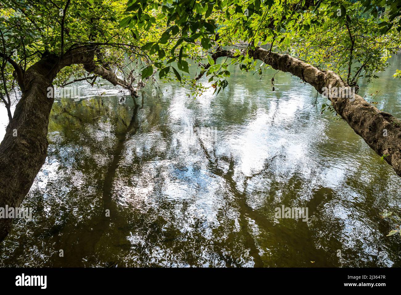 At the french broad river hires stock photography and images Alamy