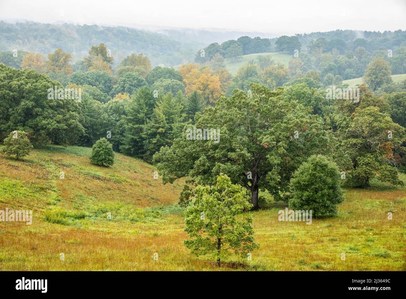 Looking out over the wooded rolling hills of the Biltmore Estate near Asheville, North Carolina, USA. Stock Photo