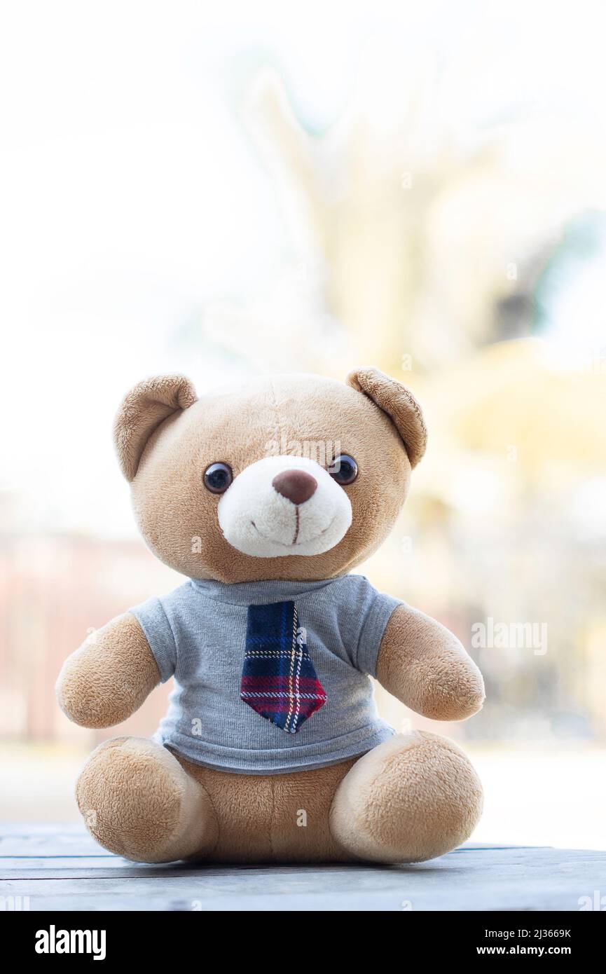Vertical photo brown teddy bear in a shirt and tie sits on a wooden
