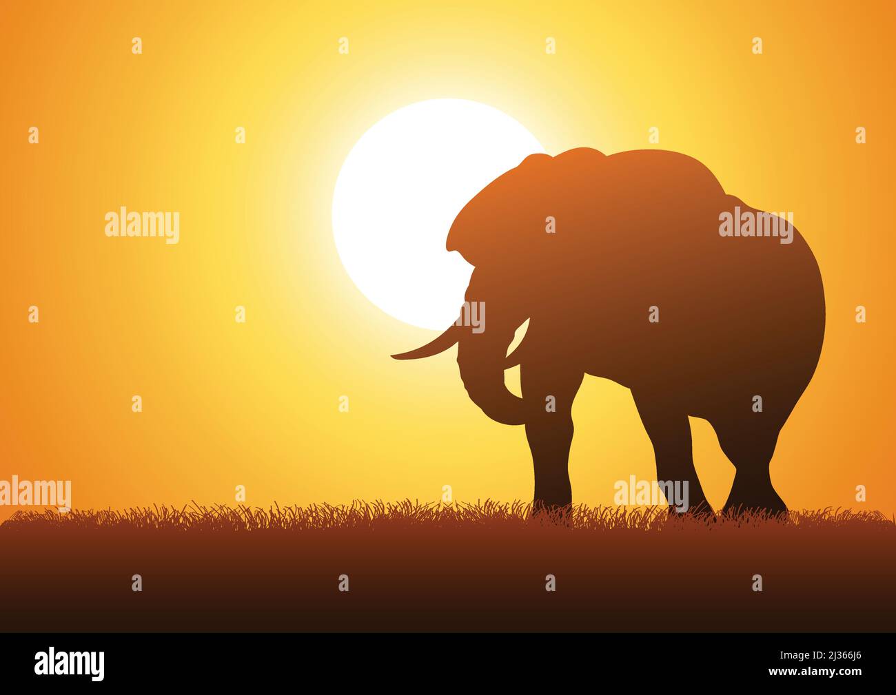 Silhouette illustration of an elephant against sunset background Stock Vector