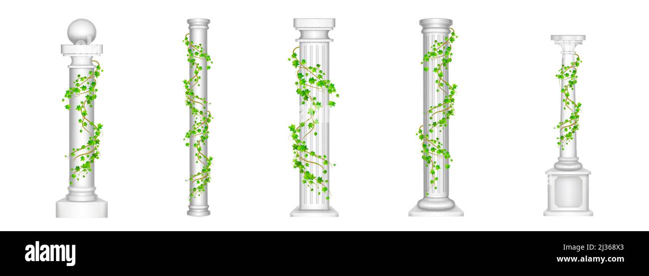 Ivy columns, antique pillars with green climbing liana plant leaves isolated on white background. Ancient classic stone roman or greek architecture fo Stock Vector