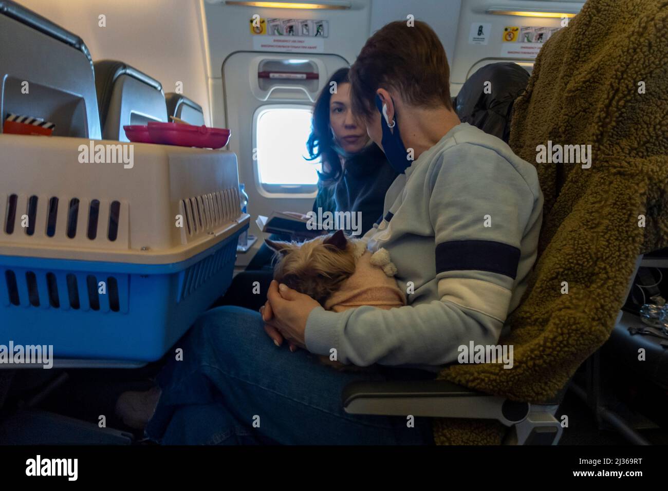 A dog lying on a passenger's lap during flight from Moldova to Israel