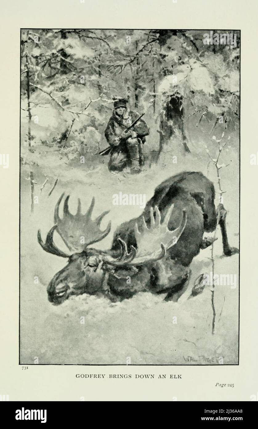 Godfrey brings down an Elk From the Book ' Condemned as a nihilist; a story of Siberia ' by G. A. Henty, (George Alfred), illustrated by Walter (wal) Paget Publisher London, Blackie 1892 George Alfred Henty (8 December 1832 – 16 November 1902) was a prolific English novelist and war correspondent.He is best known for his historical adventure stories that were popular in the late 19th century. His works include The Dragon & The Raven (1886), For The Temple (1888), Under Drake's Flag (1883) and In Freedom's Cause (1885). Stock Photo