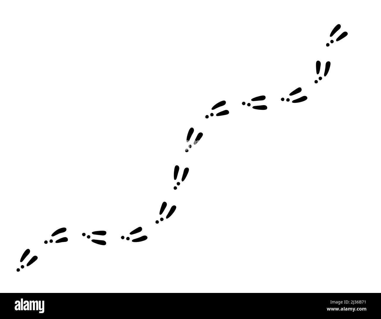 Rabbit or hare footprint trail. Bunny foot prints on snow. Rabbit paw