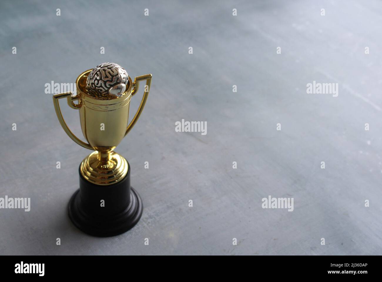 Brain inside gold cup trophy with copy space. Winning mentality and mindset concept. Stock Photo