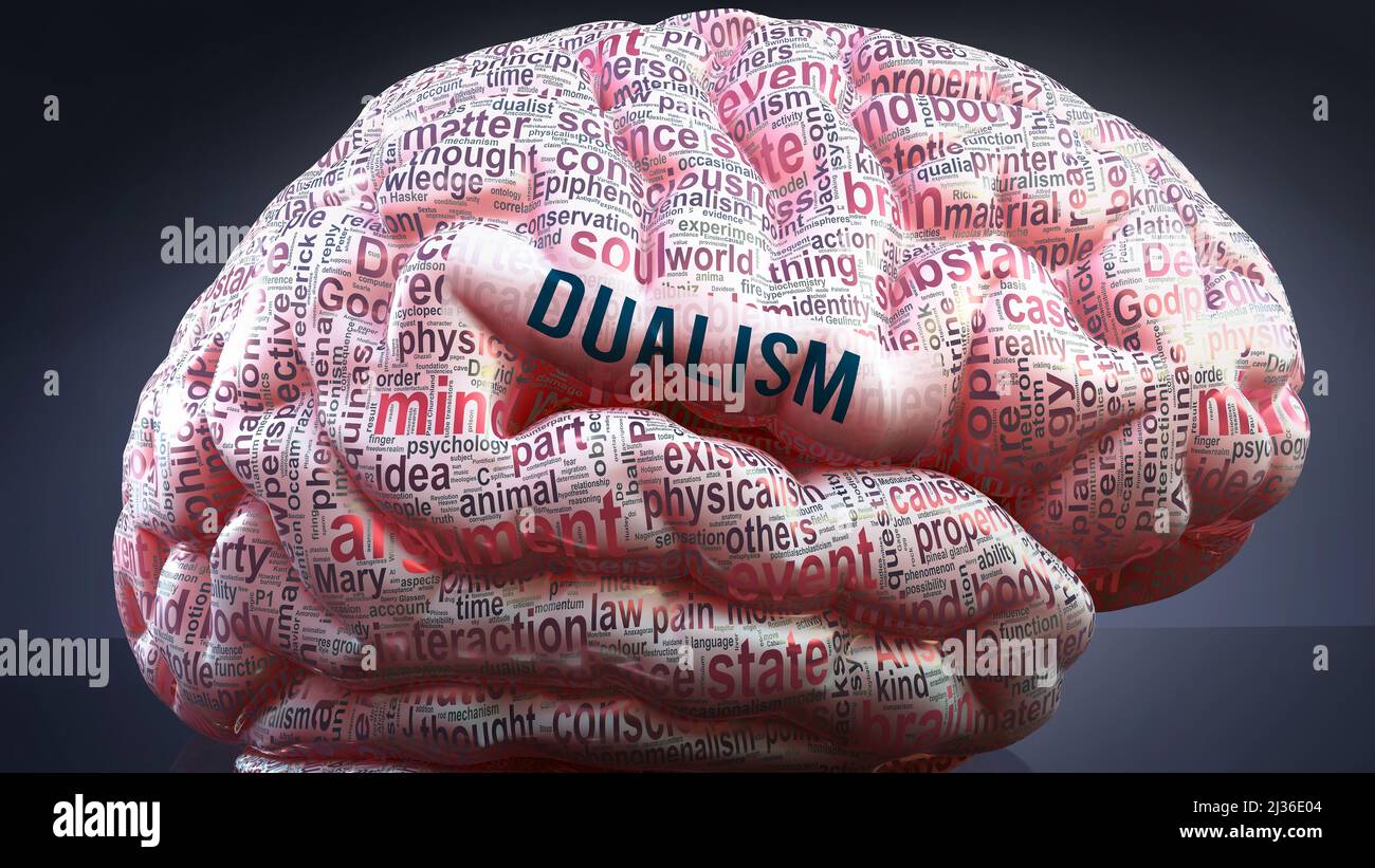 Dualism in human brain, hundreds of crucial terms related to Dualism projected onto a cortex to show broad extent of the condition and to explore conc Stock Photo