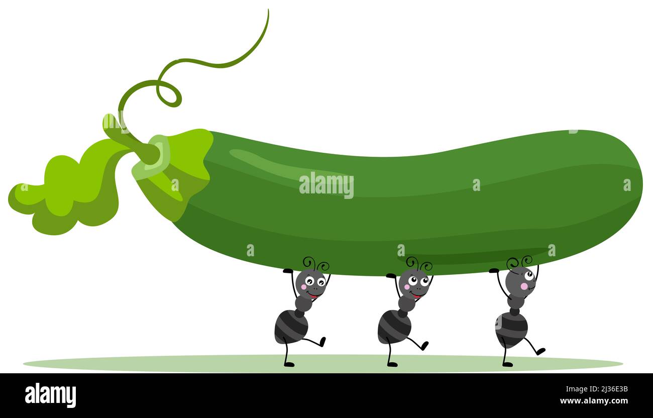 Cute ants carrying a fresh green courgette Stock Photo Alamy