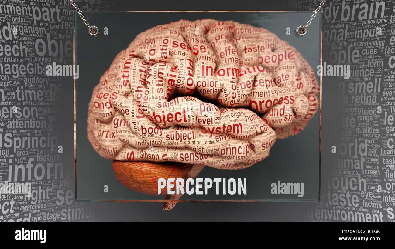 Perception in human brain - dozens of important terms describing ...