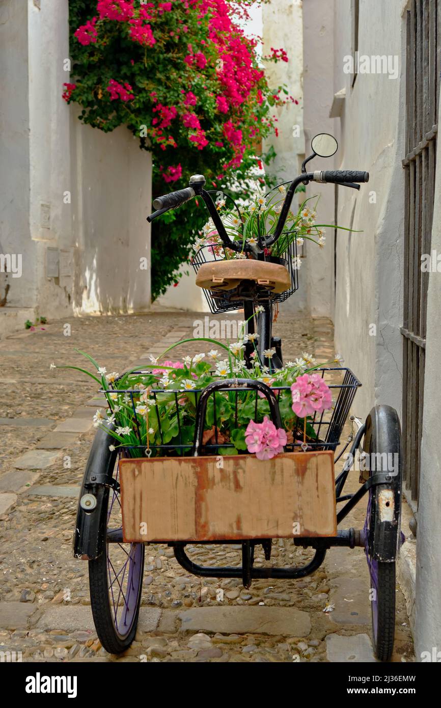 Beautiful black vintage bicycle hi-res stock photography and images - Alamy