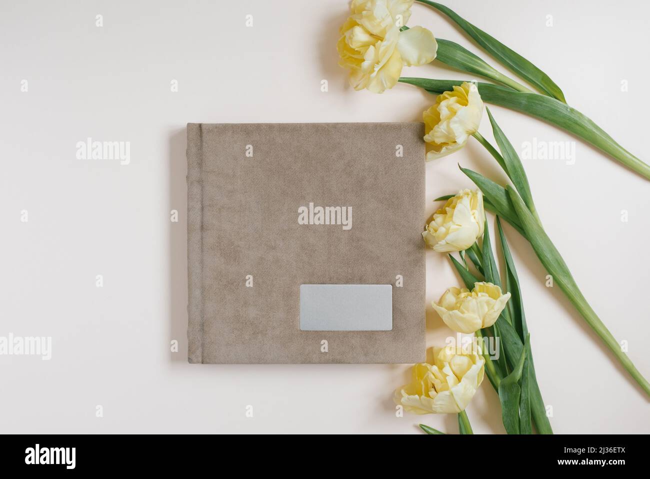 Beige family or wedding photo book and tulip flowers lie on a light beige background. Fond memories in photographs for memory Stock Photo