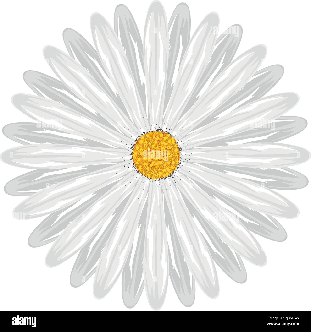 flower daisy nature Stock Vector Image & Art - Alamy
