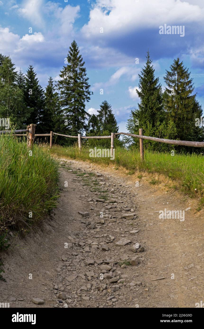Vertical shot road hi-res stock photography and images - Alamy