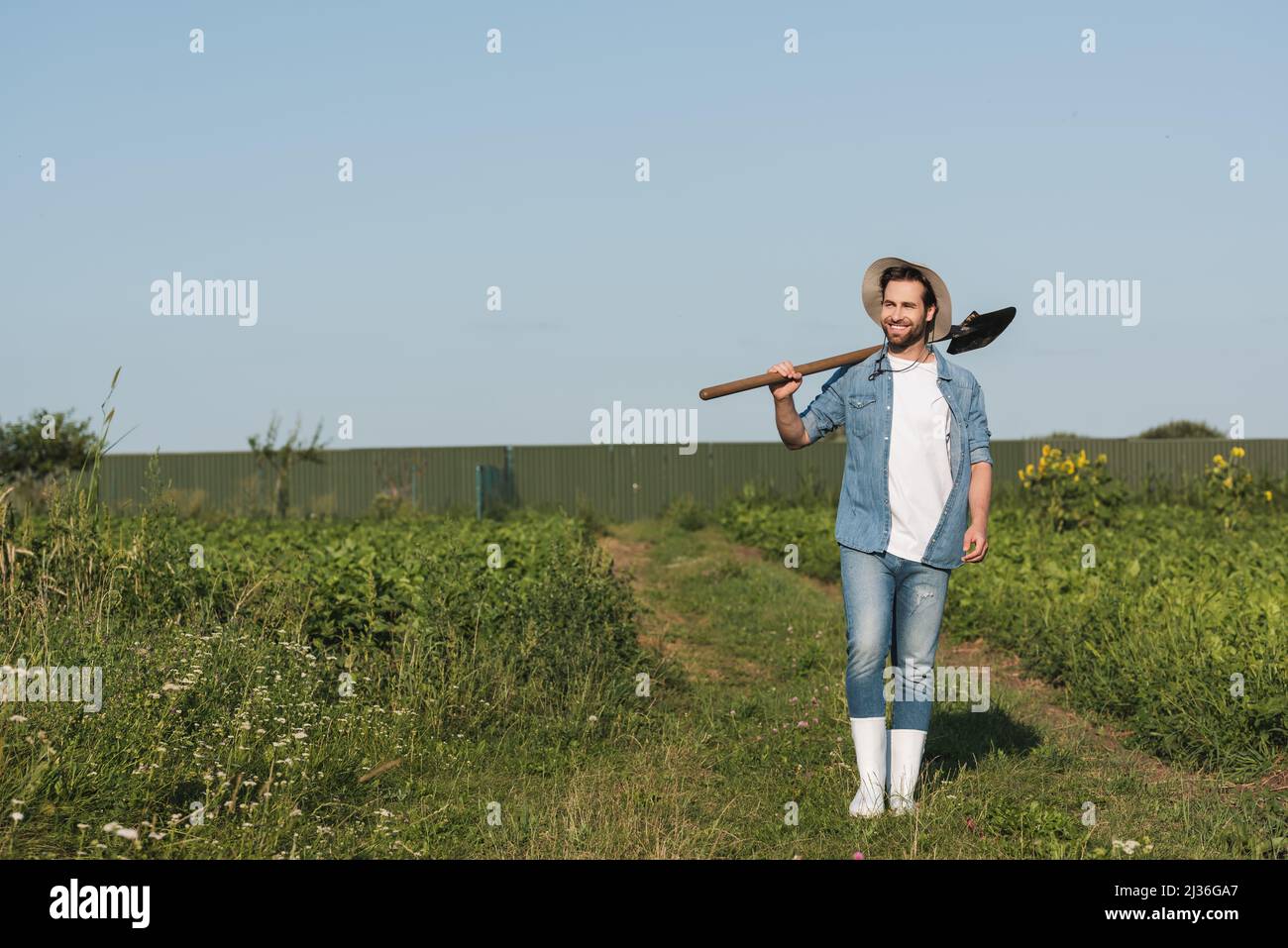 full length view of happy farmer walking with shovel on green field ...