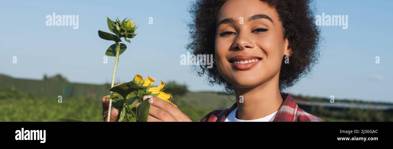 happy african american farmer looking at camera near sunflowers in ...
