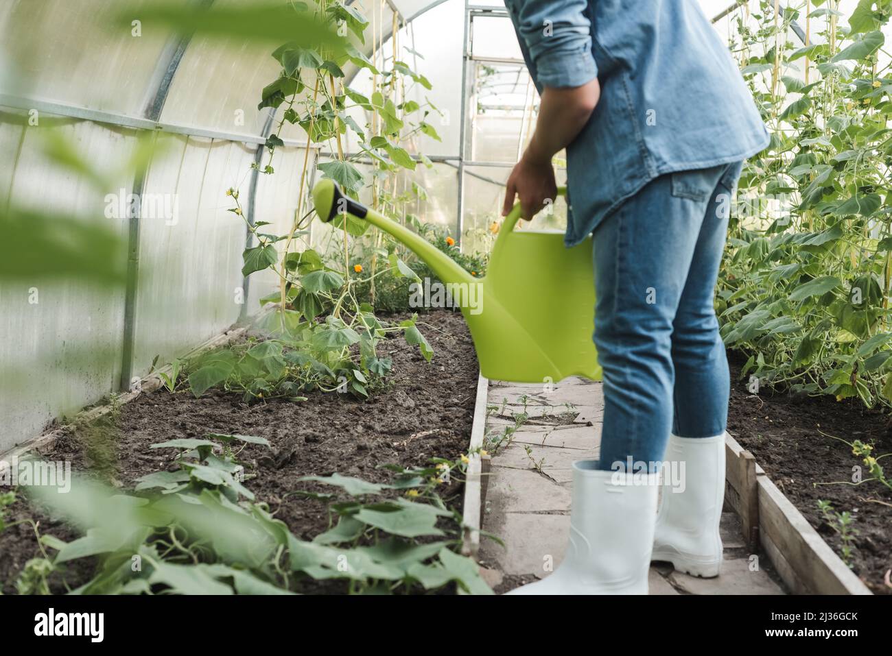 Rubber boots garden hi-res stock 