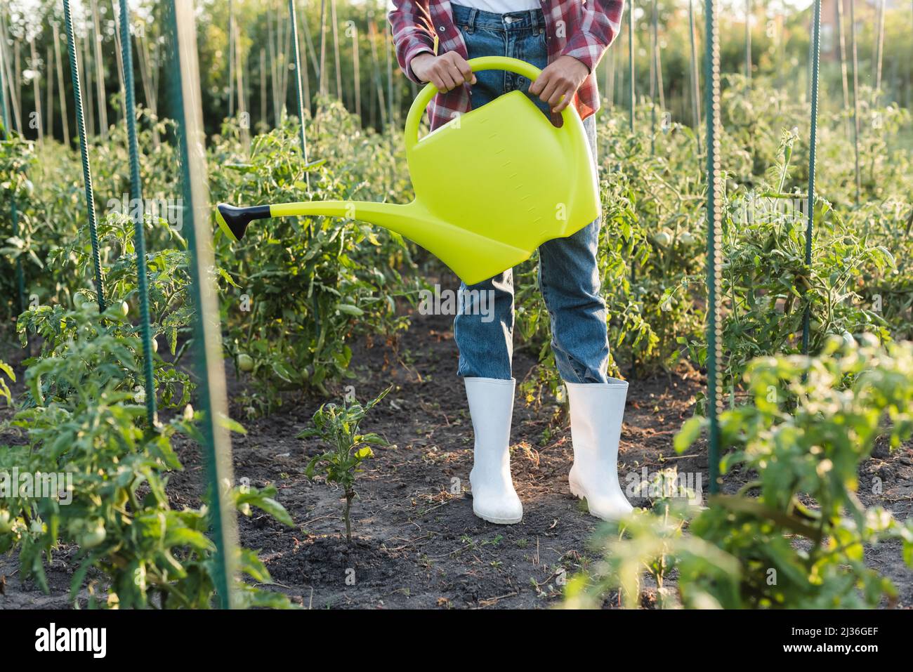 African woman work field hi-res stock photography and images - Alamy