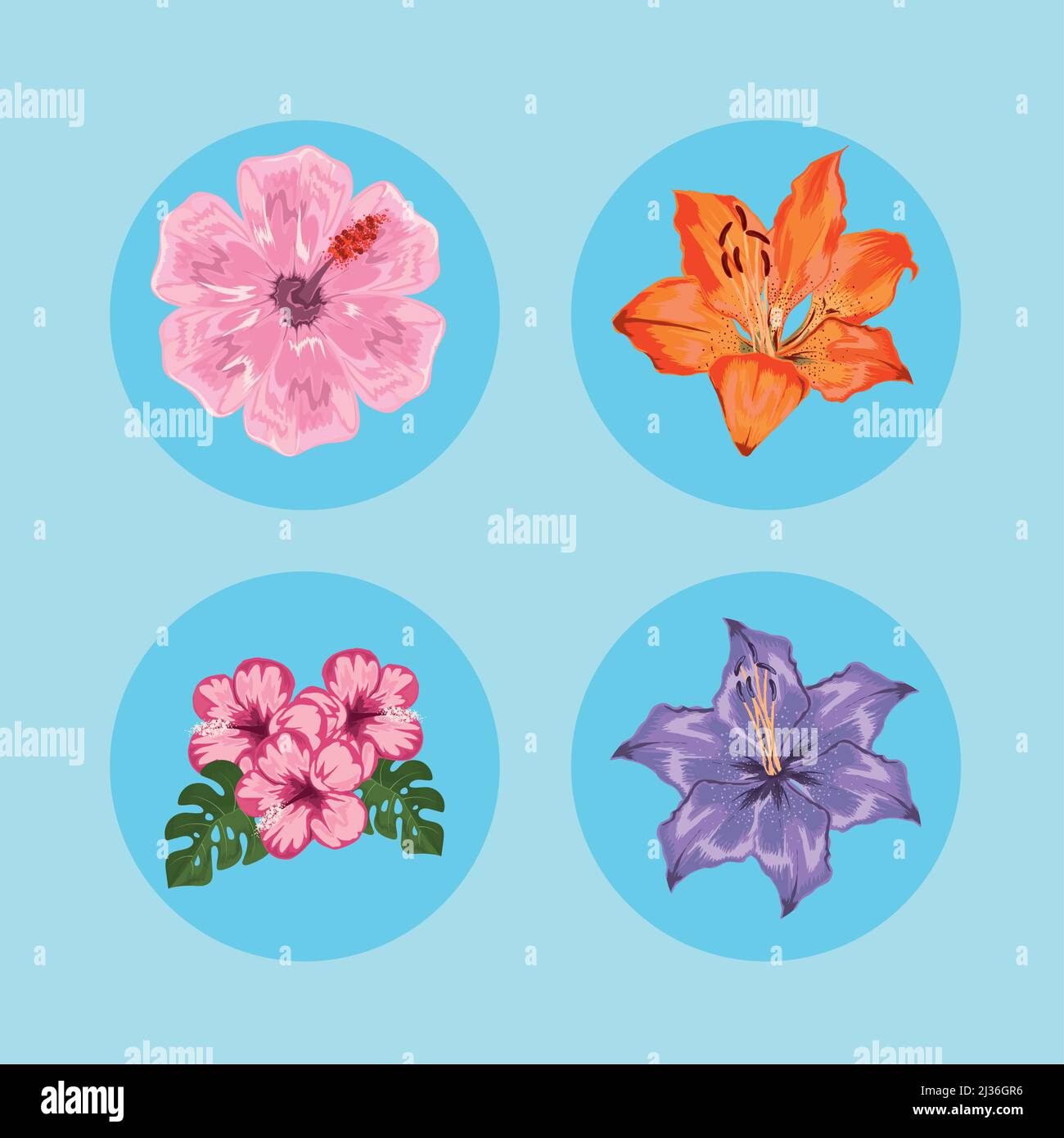 set of flowers Stock Vector Image & Art - Alamy