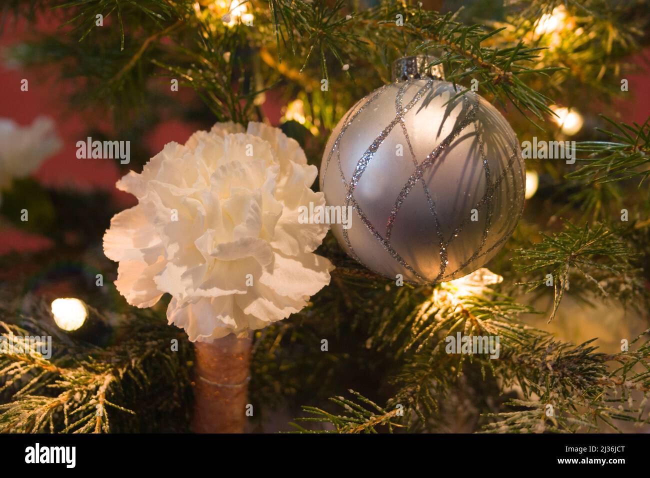 Christmas decoration on a tree with bauble, flower and fairy lights. Stock Photo
