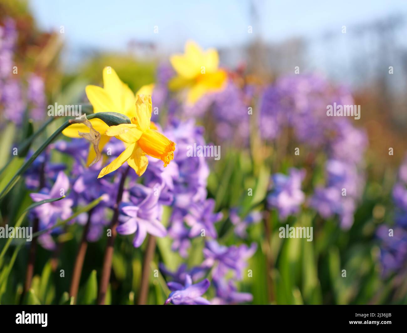 Frühling im Ruhrgebiet Stock Photo