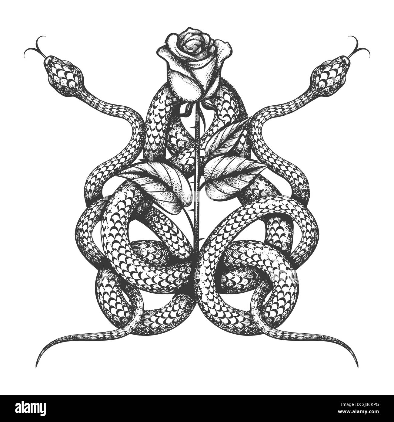 Tattoo of Two Snake and Rose Flower isolated on white. Vector illustration. Stock Vector