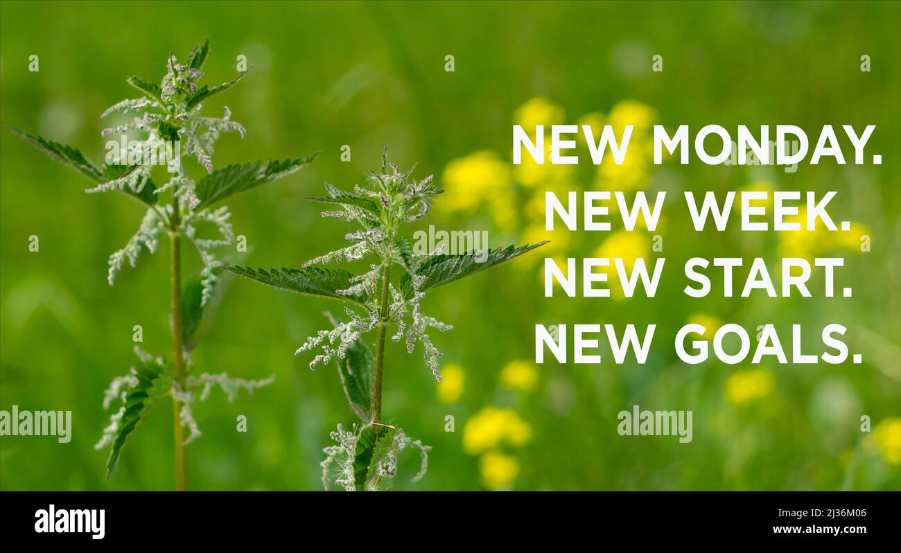 New Monday New Week New Start New Goals Stock Photo Alamy New Monday New Week New Start New Goals Stock Photo Alamy