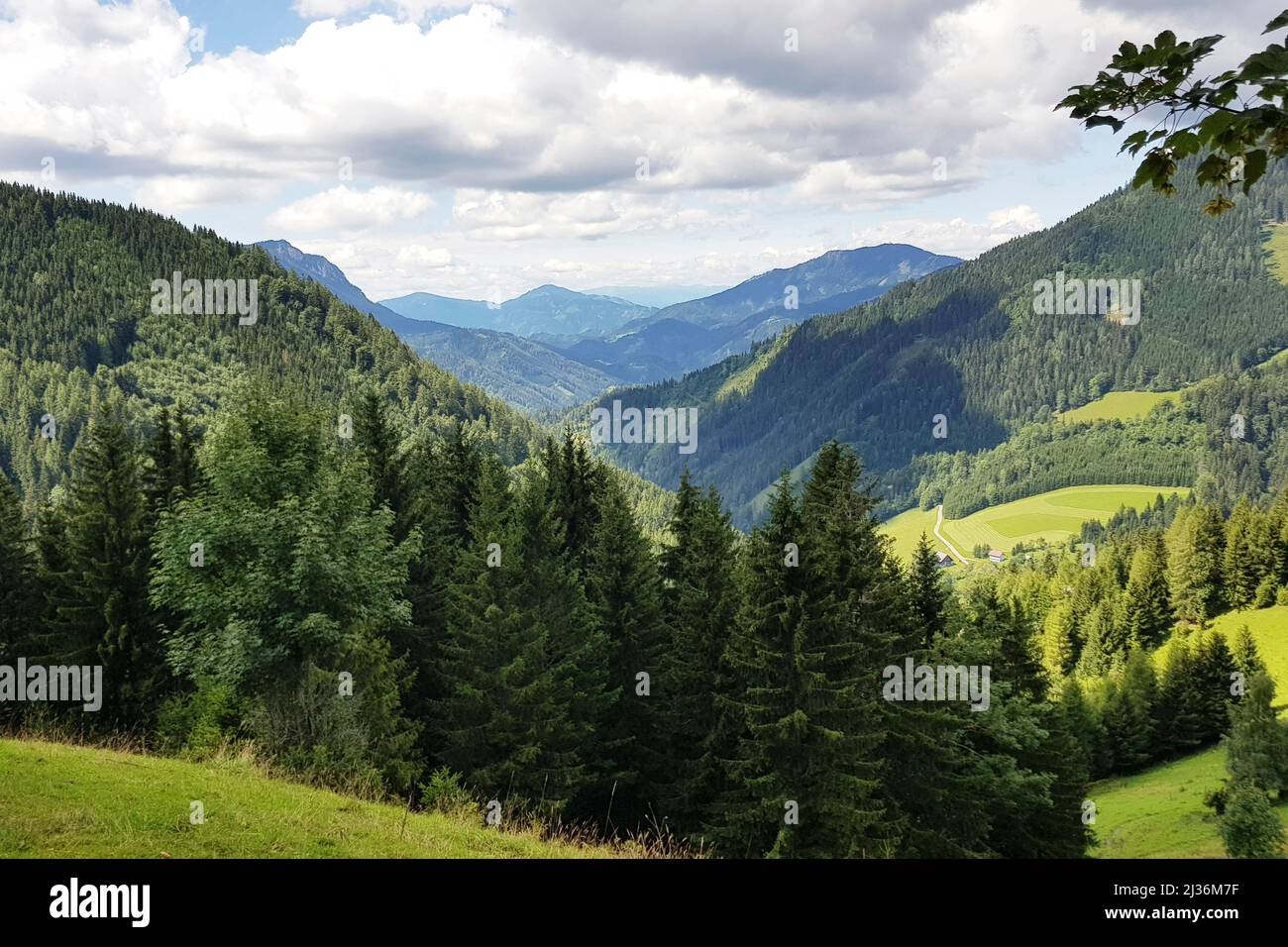 Hills and green forests among the mountains landscape , beautiful ...