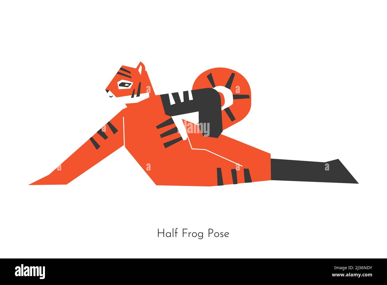 Vector isolated flat illustration with cartoon animal doing yoga practice - Ardha Bhekasana. Korean tiger learns Half Frog Pose. Geometric concept wit Stock Vector