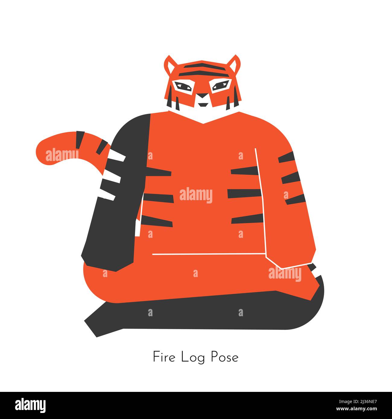 Vector isolated illustration with animal cartoon character learning hip-opening yoga practice - Agnistambhasana. Asian tiger does seated Fire log pose Stock Vector