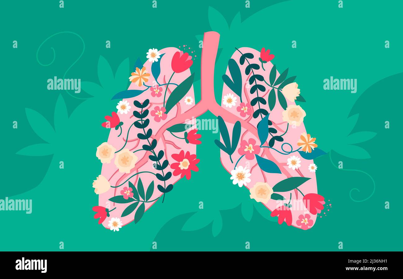 Healthy human lungs with flowers Stock Vector Image & Art Alamy