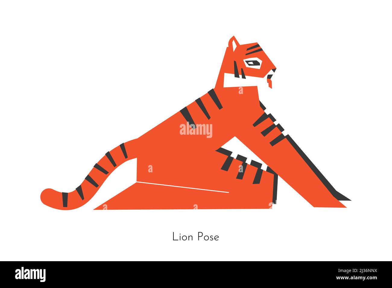 Vector isolated concept with animal cartoon character doing balancing yoga practice - Simhasana. Bengal tiger learns Lion Pose. Flat illustration of s Stock Vector