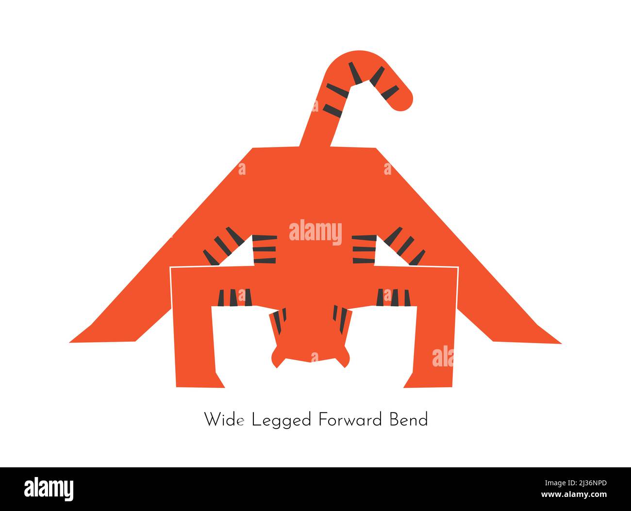 Vector isolated concept with animal cartoon character doing yoga practice - Uddiyana Bandha. Korean tiger learns Wide Legged Forward Bend. Flat illust Stock Vector