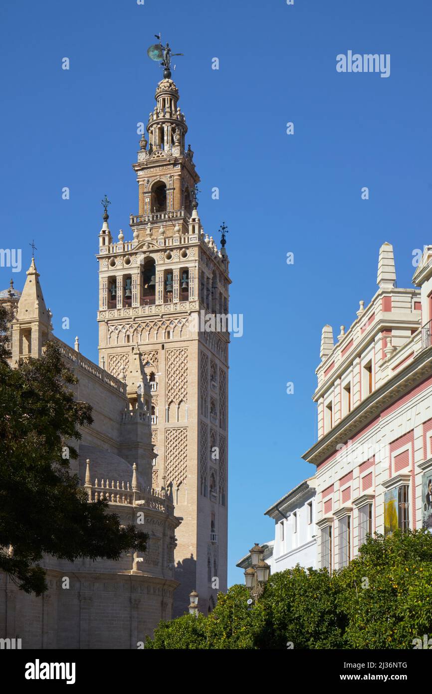 The Giralda bell tower, Cathedral, Seville, Spain Stock Photo