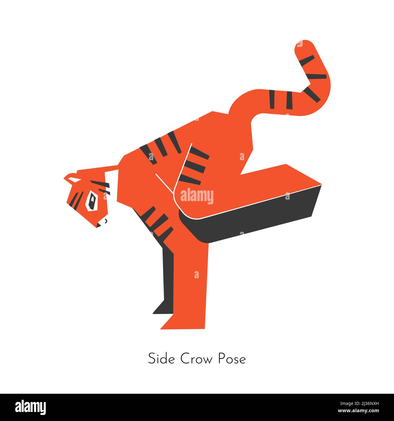 Vector concept with animal cartoon character learning yoga practice - Parsva Bakasana. Malayan tiger does Side Crane (Crow) Pose. Flat illustration of Stock Vector