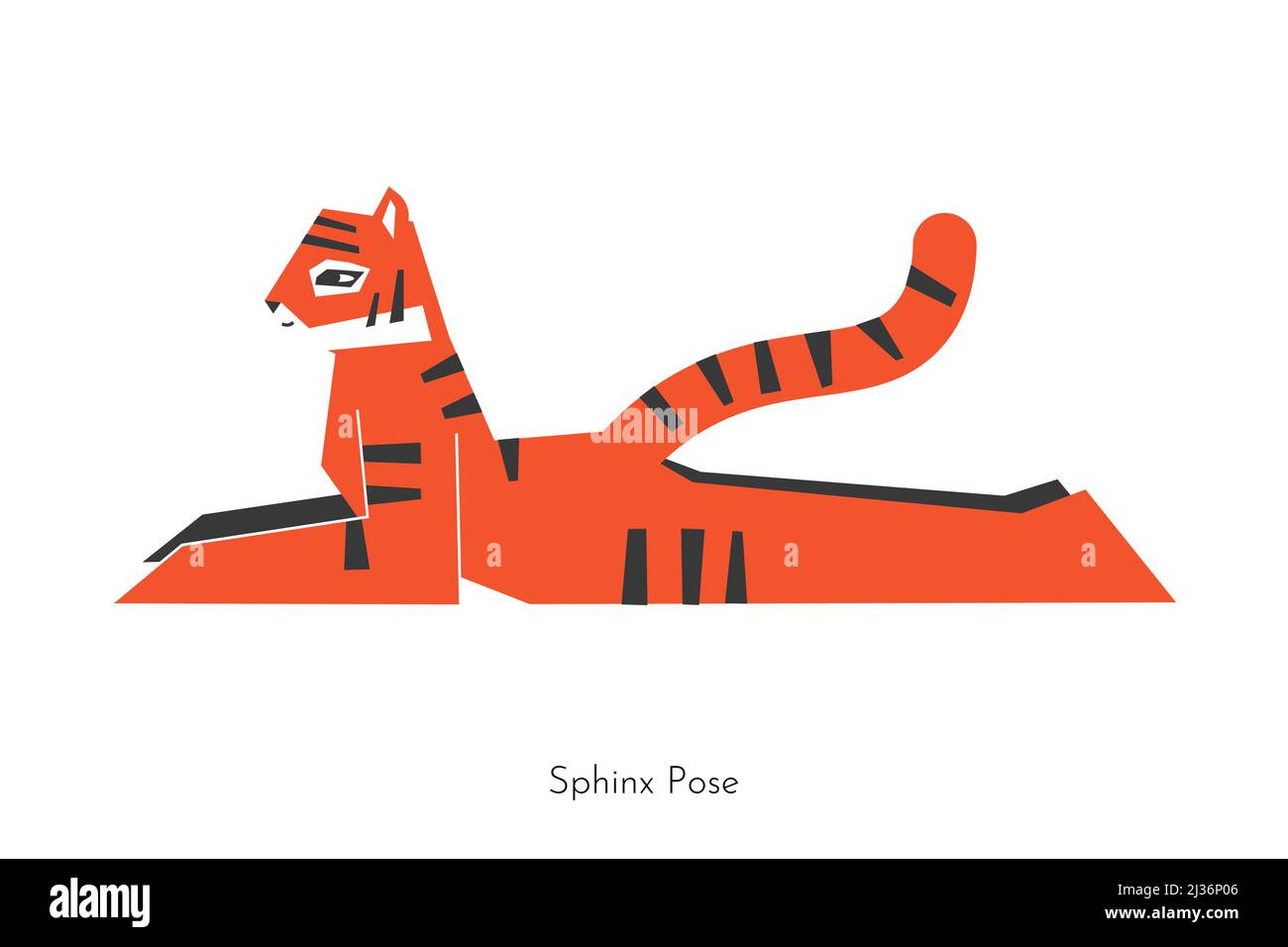 Vector concept with animal cartoon character learning core yoga practice - Salamba Bhujangasana. Korean tiger does Sphinx Pose. Flat illustration of f Stock Vector