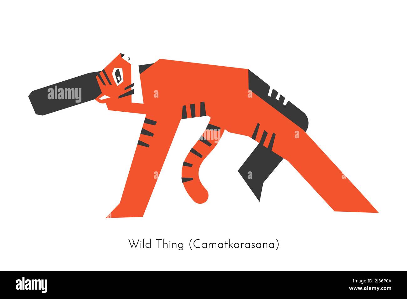 Vector isolated concept with animal cartoon character doing balancing yoga practice - Camatkarasana. Chinese tiger learns Wild thing pose. Flat illust Stock Vector