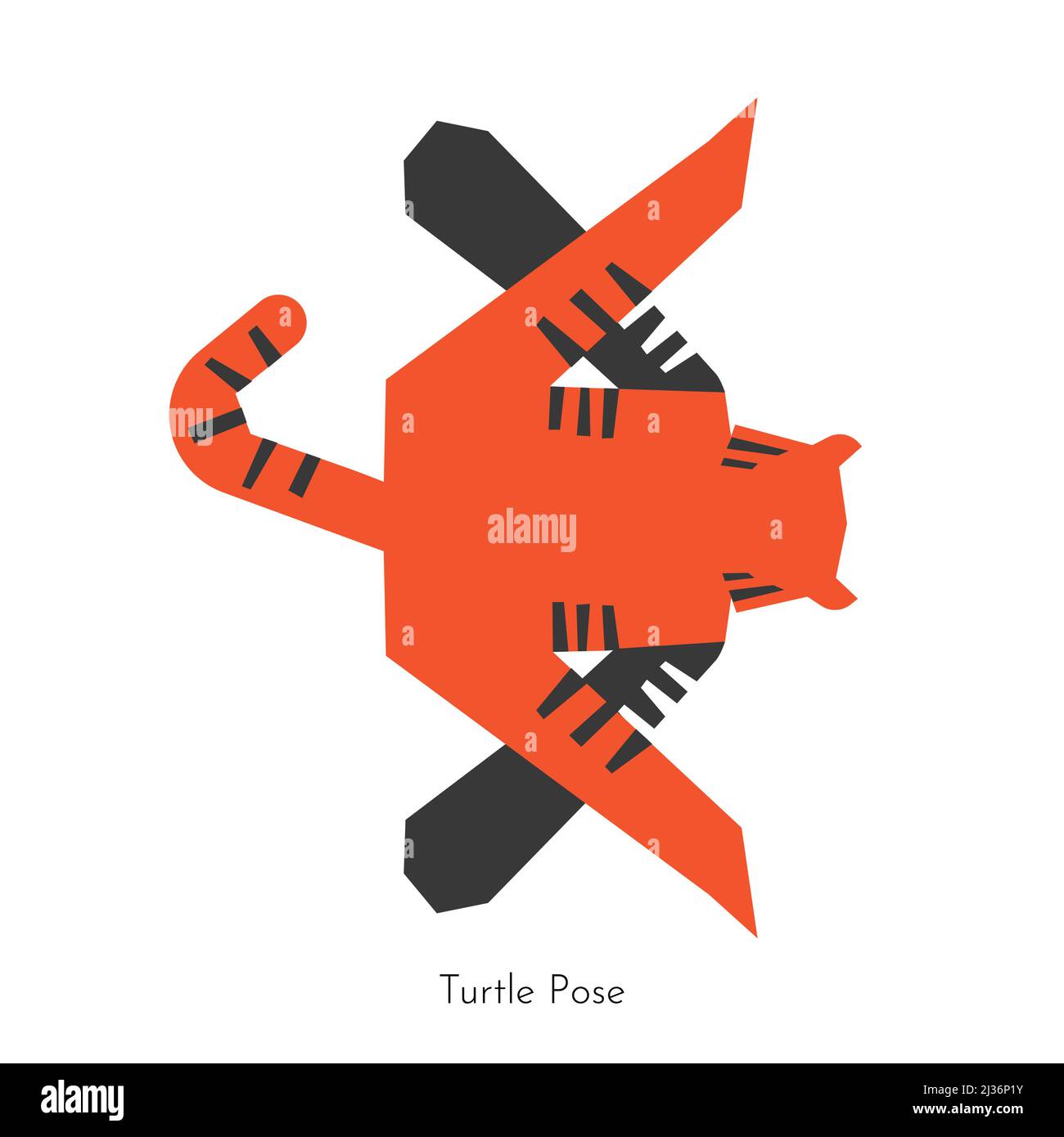 Vector isolated concept with cartoon animal character learning yoga practice - Tortoise (Turtle) Pose. South China tiger does asana - Kurmasana. Flat Stock Vector