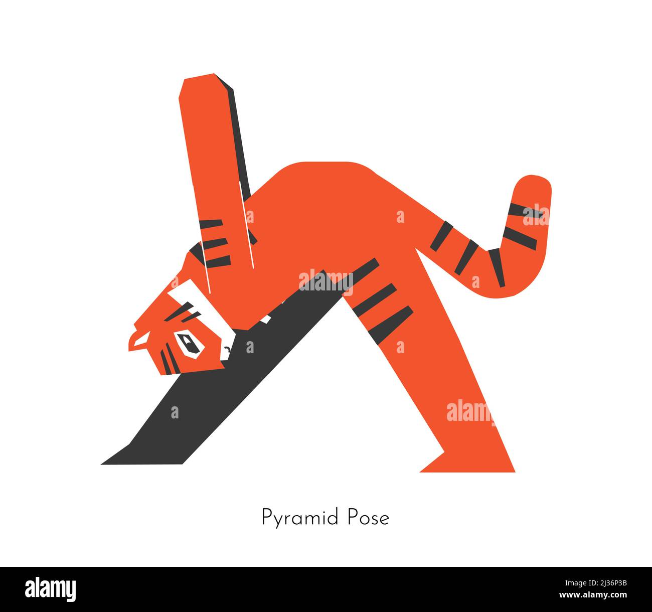 Vector isolated concept with cartoon animal character learning yoga practice - Pyramid Pose. South China tiger does Intense side asana - Parsvottanasa Stock Vector
