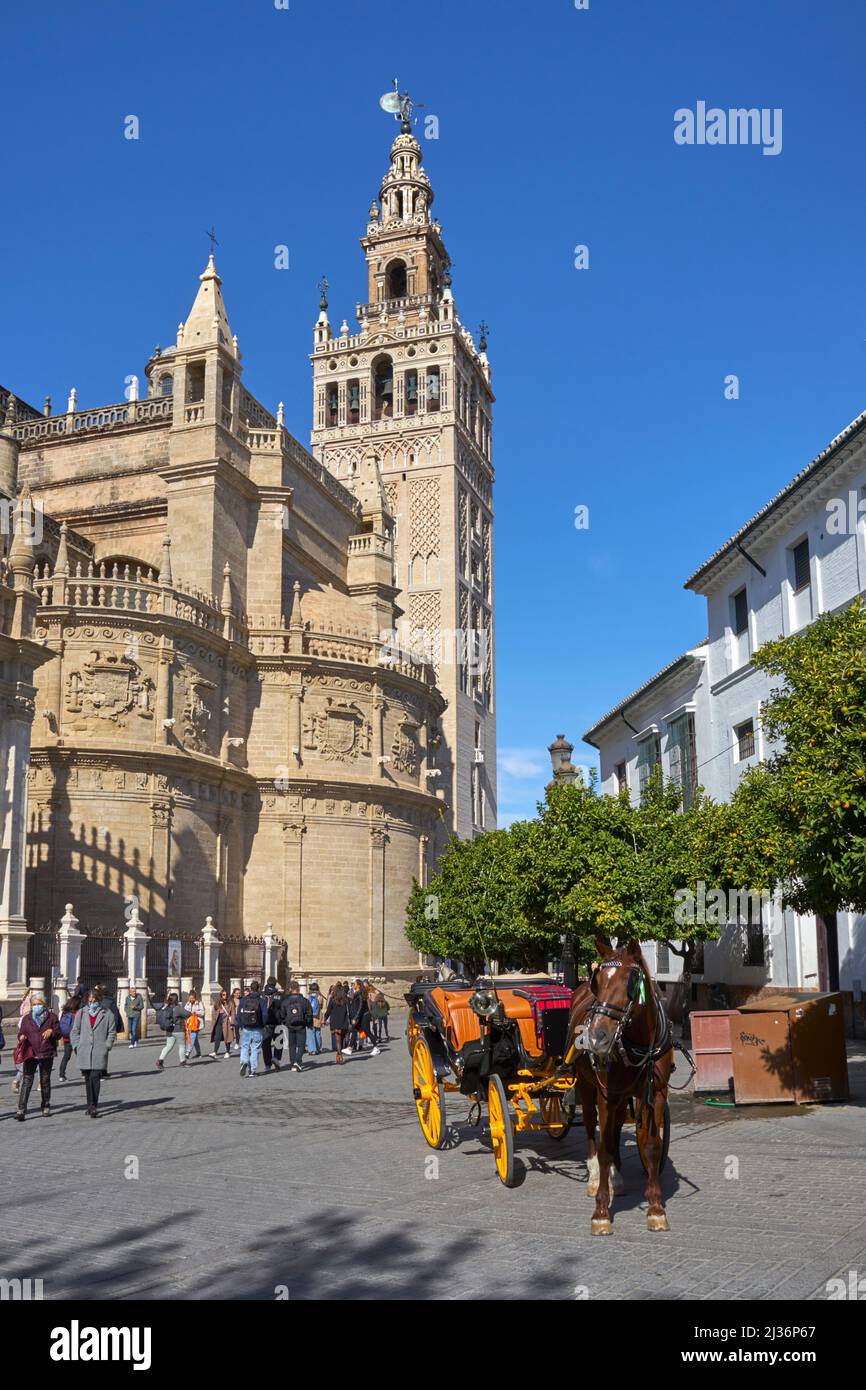 The Giralda bell tower, Cathedral, Seville, Spain with horse and carriage Stock Photo